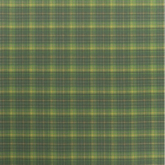 Abernethy Emerald Fabric by Designers Guild 