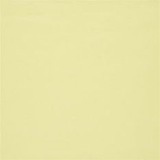 Aquarelle Citrus Fabric by Designers Guild 