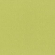 Aquarelle Moss Fabric by Designers Guild 