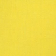 Brera Lino Lemongrass Fabric by Designers Guild 