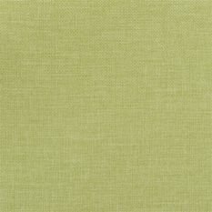 Brienno Grass Fabric by Designers Guild 