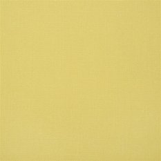 Conway Lemon Fabric by Designers Guild 