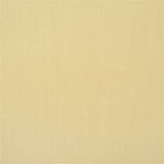 Conway Vanilla Fabric by Designers Guild 
