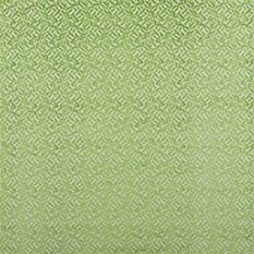 Dufrene Grass Fabric by Designers Guild 