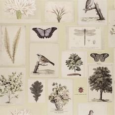 Flora And Fauna Canvas Wallcovering by Designers Guild 