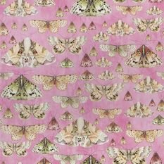 Issoria Rose Wallpaper by Designers Guild 