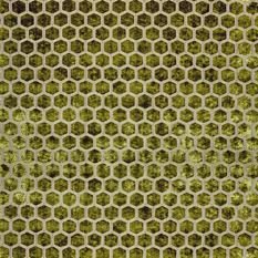 Manipur Moss Fabric by Designers Guild 