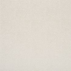 Sesia Opal Fabric by Designers Guild 