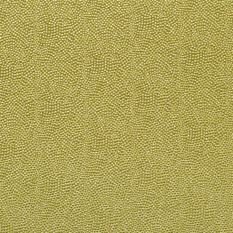 Sesia Peridot Fabric by Designers Guild 