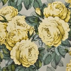 The Rose Mimosa Wallcovering by Designers Guild