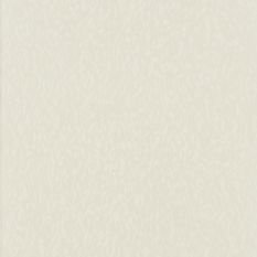 Torlonia Chalk Wallcovering by Designers Guild 