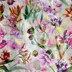 Tulipa Stellata Fuchsia Wallcovering by Designers Guild