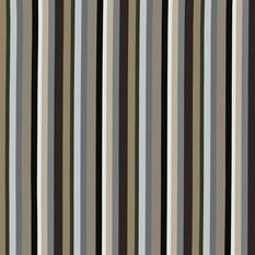 Varese Lambusa Graphite Fabric by Designers Guild 