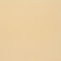 Farran Champagne Fabric by Designers Guild 