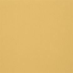 Farran Gold Fabric by Designers Guild 