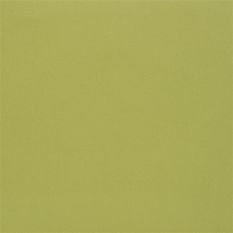 Farran Moss Fabric by Designers Guild 