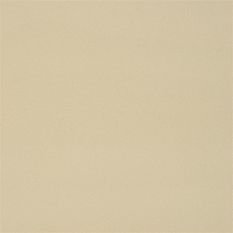 Farran Natural Fabric by Designers Guild 