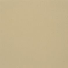 Farran Sand Fabric by Designers Guild 