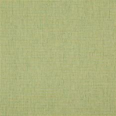 Linghaw Grass Fabric by Designers Guild 
