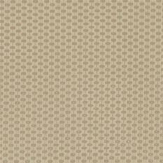 Matara Cestino Dune Fabric by Designers Guild 