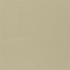 Mezzola Mode Calico Fabric by Designers Guild 