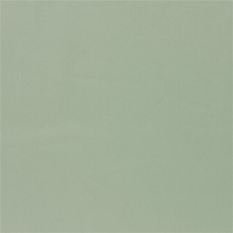 Mezzola Mode Eau de Nil Fabric by Designers Guild 