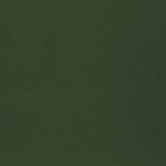 Mezzola Mode Fir Fabric by Designers Guild 