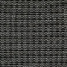 Newton Charcoal Fabric by Designers Guild 