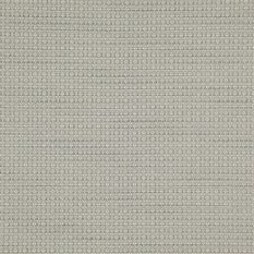 Newton Platinum Fabric by Designers Guild 