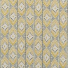 Nizhoni Citron Fabric by William Yeoward