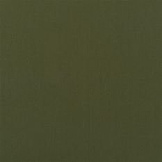 Perledo Fern Fabric by Designers Guild 