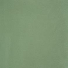 Satinato Aloe Fabric by Designers Guild 