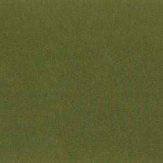 Satinato Apple Fabric by Designers Guild 