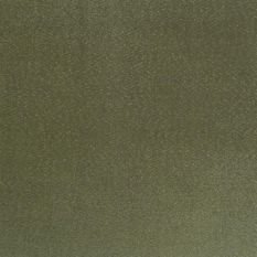 Satinato Sap Fabric by Designers Guild 