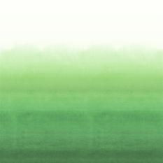 Shoshi Forest Wallcovering by Designers Guild