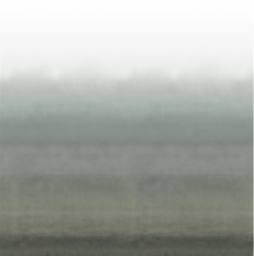 Shoshi Graphite Wallcovering by Designers Guild