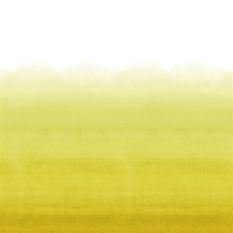 Shoshi Lemongrass Wallcovering by Designers Guild