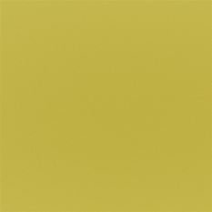 Tiber Acacia Fabric by Designers Guild 