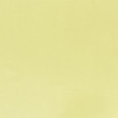 Tiber Alchemilla Fabric by Designers Guild 