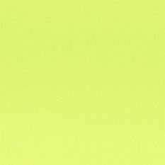 Tiber Apple Fabric by Designers Guild 