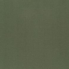 Tiber Avocado Fabric by Designers Guild 