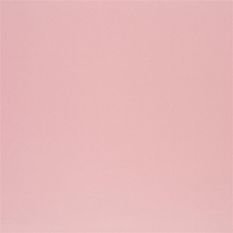 Tiber Blossom Dg Fabric by Designers Guild 