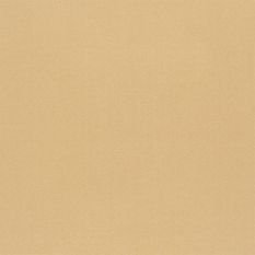 Tiber Champagne Fabric by Designers Guild 