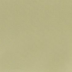 Tiber Cumin Fabric by Designers Guild 