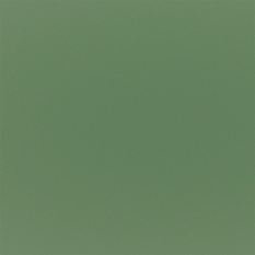 Tiber Fern Fabric by Designers Guild 