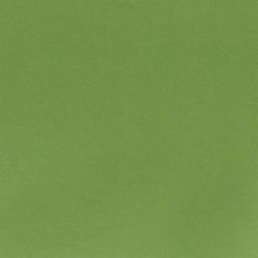 Tiber Forest Fabric by Designers Guild 