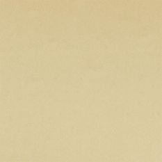 Tiber Honey Fabric by Designers Guild 