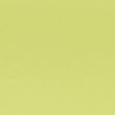 Tiber Lime Fabric by Designers Guild 