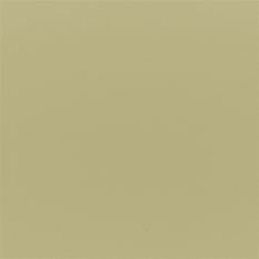 Tiber Pear Fabric by Designers Guild 