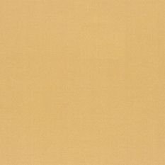 Tiber Topaz Fabric by Designers Guild 